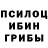 Галлюциногенные грибы Cubensis Tanja Musatova