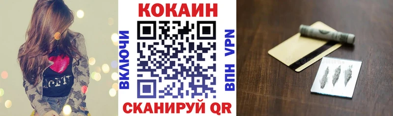COCAIN Fish Scale  блэк спрут вход  Горбатов 