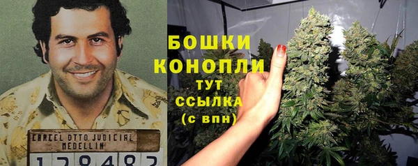 шишки Алексеевка