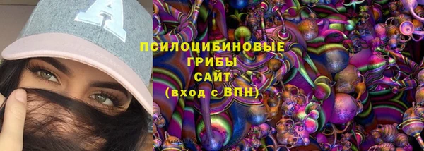 шишки Алексеевка