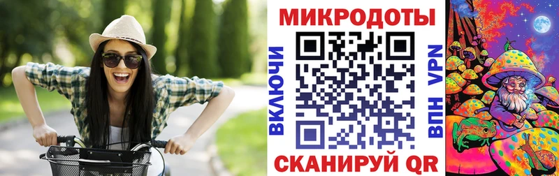 цены   Горбатов  Галлюциногенные грибы Psilocybe 